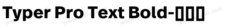 Typer Pro Text Bold字体转换